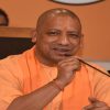 yogi