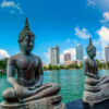 Charm of Sri Lanka