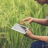 Careers after class 12: Agriculture