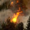 Amazon Rainforest on fire