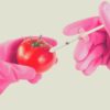 Food technology