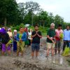 Assam's 'Jumbo Khet' fends off man-wildlife conflict