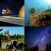 National Science Day