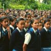 Government reopening schools