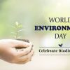 Environment Day