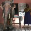 Augmented Reality Kerala 2