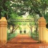 visva bharati