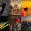 World Photography Day