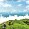 Coorg India's Scotland alternative