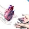 21-year-old student's organ add years to a woman's life