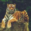 Simlipal Tiger Reserve