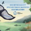 World Wildlife Day 2022 Recovering key species for ecosystem restoration