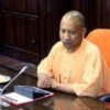 yogi