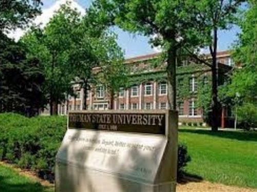 Truman State University invites applications for STEM & Business ...