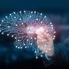 Demand for management studies with AI specialization
