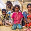 Number of undernourished people in India declines to 224.3 million