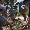 Climate school Terra.do's courses to benefit climate change enthusiasts