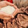 Global Hunger Index exaggerates measure of hunger: Health Ministry sources