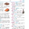 Dictionary