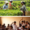 Assam Tea Garden Schools