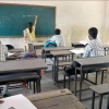 school teachers