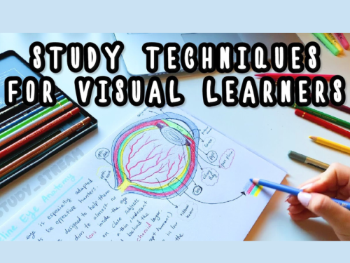 enhancing-learning-for-visual-learners-exploring-the-best-study