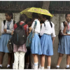 schools shut due to heavy rainfall