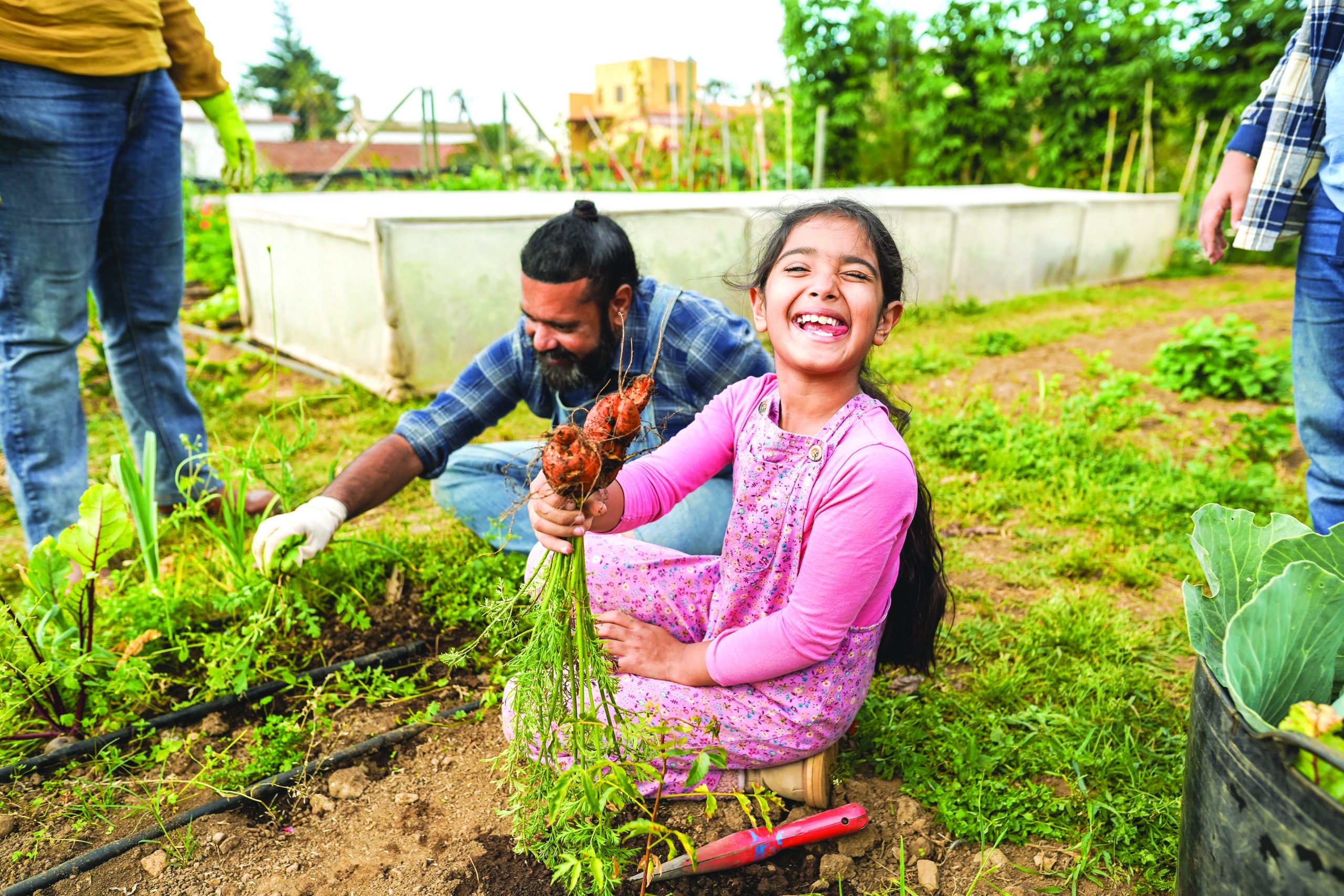 Indian,Family,Picking,Up,Organic,Carrots,From,House,Garden,Outdoor