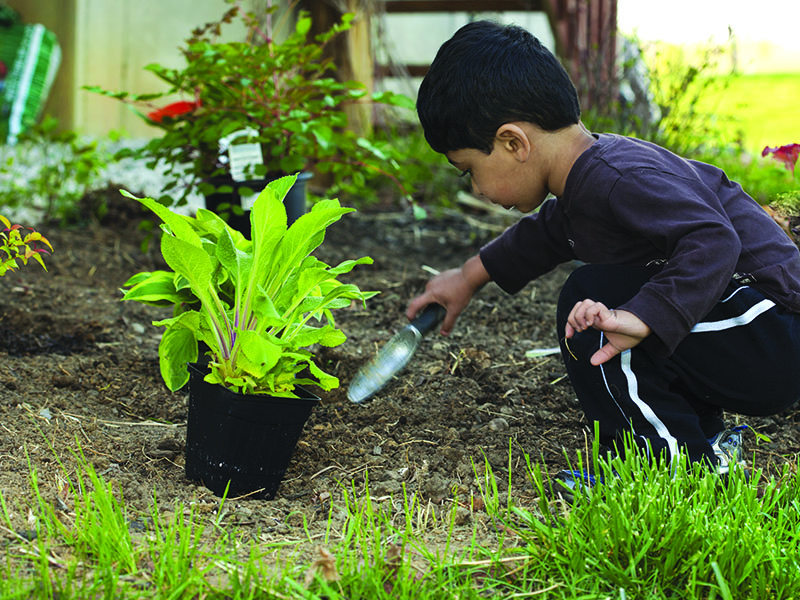 Toddler,Digging,Earth,To,Help,Plant,A,Shrub