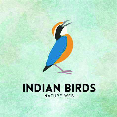 IndianBirds 