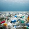 Impact of Plastic Usage on environment