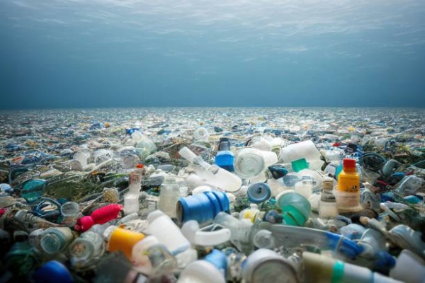 Impact of Plastic Usage on environment