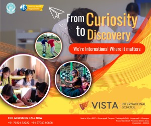 Vista International School