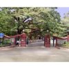 IIT Madras research