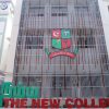 The New College, Chennai