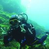 seafaring-vocation