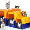 Pet relocation copy
