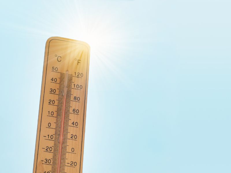 Heatwave: WB Schools Suspend Classes for Two Days