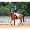 Greenwood High student wins gold at Karnataka state equestrian championship 2025