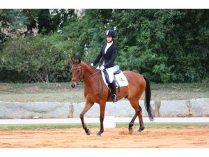 Greenwood High student wins gold at Karnataka state equestrian championship 2025