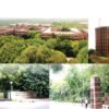 Jnu collage