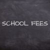 Telangana Human Rights Commission orders crackdown on pvt schools collecting advance fees