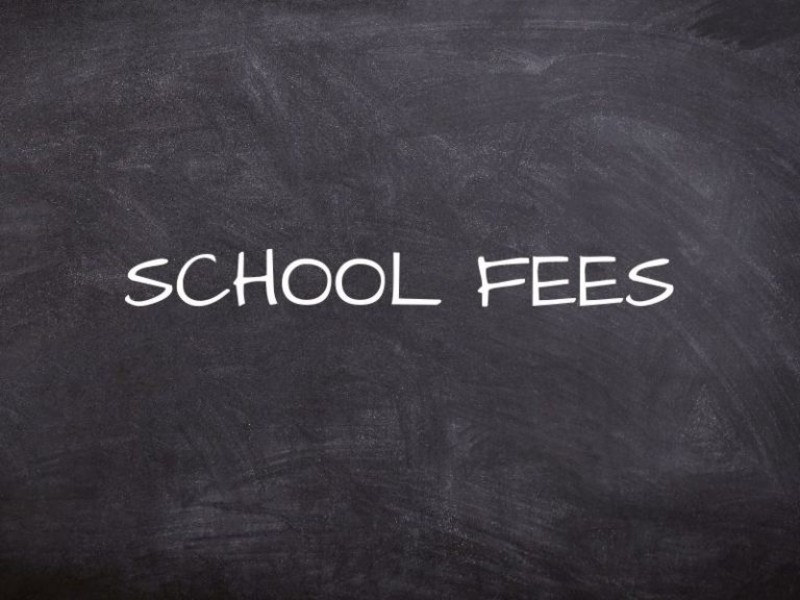Telangana Human Rights Commission orders crackdown on pvt schools collecting advance fees