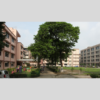Mahadevi Birla World Academy wins L.N. Birla Memorial Invitational Debate