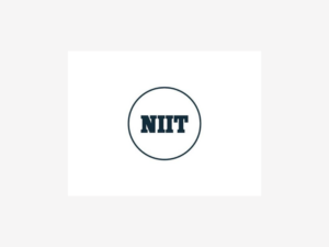 NIIT Learning and SweetRush win 114 Brandon Hall HCM Excellence Awards