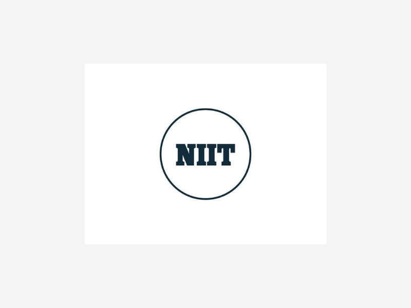 NIIT Learning and SweetRush win 114 Brandon Hall HCM Excellence Awards