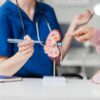 IIT Madras, CMC Vellore Researchers Develop AI Tools for Early Kidney Disease Detection