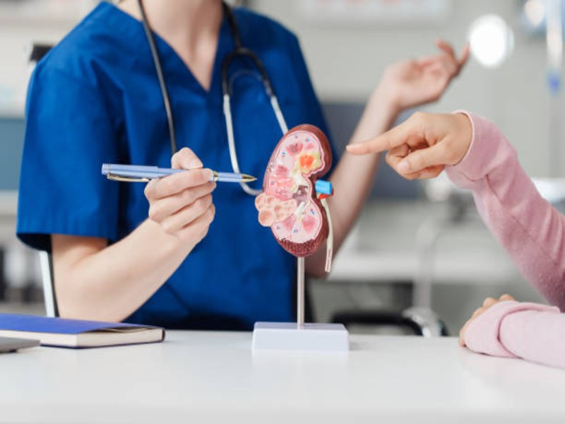 IIT Madras, CMC Vellore Researchers Develop AI Tools for Early Kidney Disease Detection