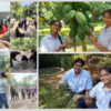 Scindia Kanya Vidyalaya_ ROOTED IN RENEWAL